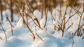 Zimowe Wydminy przed zachodem słońca, styczeń 2021 r. - zdjęcie 41