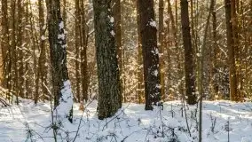 Kolejna dawka pięknej, mazurskiej zimy przy jez. Dargin - zdjęcie 29