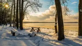 Kolejna dawka pięknej, mazurskiej zimy przy jez. Dargin - zdjęcie 24