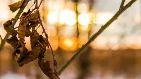 Zachód słońca w okolicach zimowych Kruklanek - zdjęcie 40