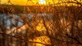 Zachód słońca w okolicach Starych Juch, 02.2021 - zdjęcie 26