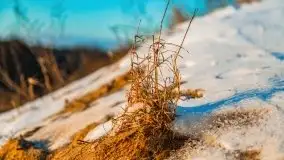 Zachód słońca w okolicach Starych Juch, 02.2021 - zdjęcie 28