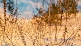 Zachód słońca w okolicach Starych Juch, 02.2021 - zdjęcie 42