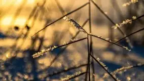 Zimowe Mikołajki skąpane w zachodzącym słońcu, 02.2021 - zdjęcie 7