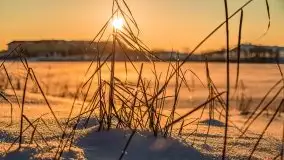 Zimowe Mikołajki skąpane w zachodzącym słońcu, 02.2021 - zdjęcie 5