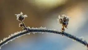 Mikołajki w zimowej scenerii, luty 2021 r. - zdjęcie 26