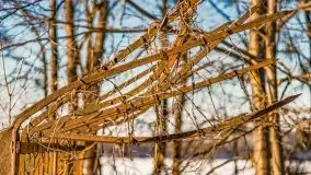 Mikołajki w zimowej scenerii, luty 2021 r. - zdjęcie 74