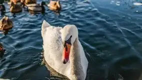 Mikołajki w zimowej scenerii, luty 2021 r. - zdjęcie 53