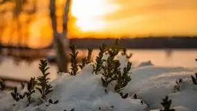 Zachód słońca Pierkunowo i okolice, luty 2021 - zdjęcie 25