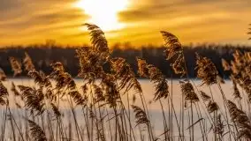 Zachód słońca Pierkunowo i okolice, luty 2021 - zdjęcie 30