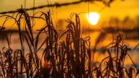 Zachód słońca Pierkunowo i okolice, luty 2021 - zdjęcie 46