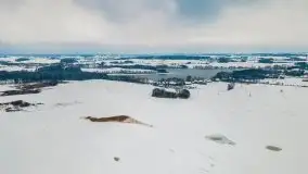 Okolice Kleszczewa w zimowej scenerii, styczeń 2021 - zdjęcie 14