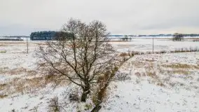 Okolice Kleszczewa w zimowej scenerii, styczeń 2021 - zdjęcie 27