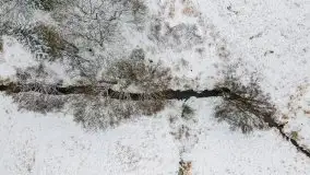 Okolice Kleszczewa w zimowej scenerii, styczeń 2021 - zdjęcie 39