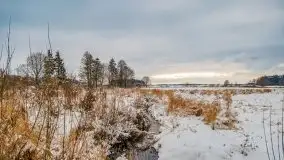 Okolice Kleszczewa w zimowej scenerii, styczeń 2021 - zdjęcie 50