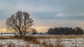 Okolice Kleszczewa w zimowej scenerii, styczeń 2021 - zdjęcie 26