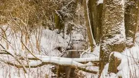 Okolice Kleszczewa w zimowej scenerii, styczeń 2021 - zdjęcie 49