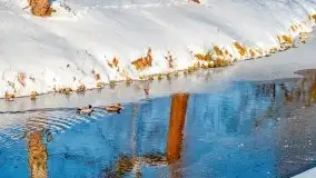 Stare Juchy w zimowej aurze, luty 2021 r. - zdjęcie 31