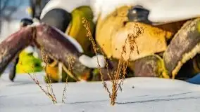 Stare Juchy w zimowej aurze, luty 2021 r. - zdjęcie 60