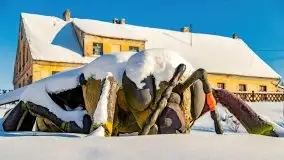 Stare Juchy w zimowej aurze, luty 2021 r. - zdjęcie 20