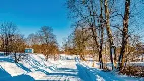 Stare Juchy w zimowej aurze, luty 2021 r. - zdjęcie 36