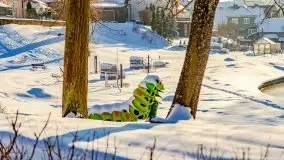 Stare Juchy w zimowej aurze, luty 2021 r. - zdjęcie 38