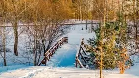 Stare Juchy w zimowej aurze, luty 2021 r. - zdjęcie 51