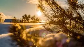 Stare Juchy w zimowej aurze, luty 2021 r. - zdjęcie 70