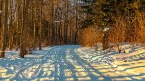 Zachód słońca nad jeziorem Siercze, luty 2021  - zdjęcie 15