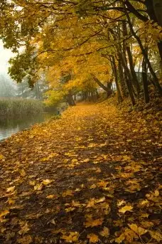 Miłośnicy Mazur - piękno regionu uchwycone przez Justynę Słuchocką - zdjęcie 17