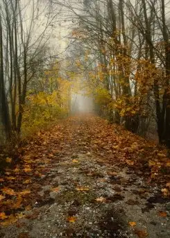 Miłośnicy Mazur - piękno regionu uchwycone przez Justynę Słuchocką - zdjęcie 25