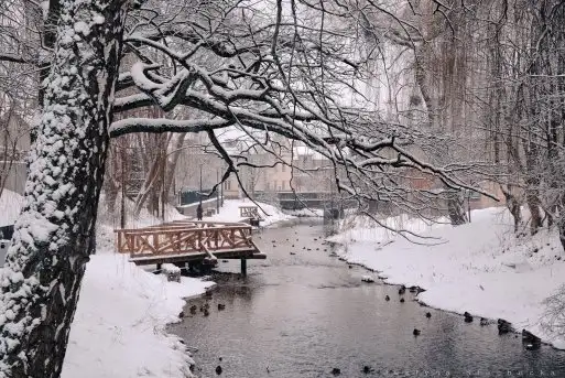 Miłośnicy Mazur - piękno regionu uchwycone przez Justynę Słuchocką - zdjęcie 10