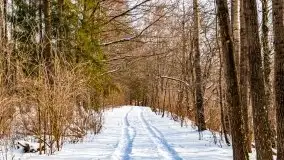 Śluza w Leśniewie Górnym w zimowej szacie, luty 2021 - zdjęcie 55