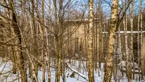 Śluza w Leśniewie Górnym w zimowej szacie, luty 2021 - zdjęcie 58