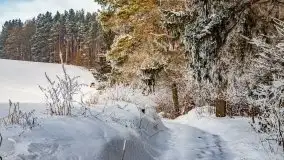 Jezioro Ślepieniec skąpane w zimowej bieli, luty 2021 - zdjęcie 32