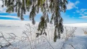 Jezioro Ślepieniec skąpane w zimowej bieli, luty 2021 - zdjęcie 51