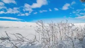 Jezioro Ślepieniec skąpane w zimowej bieli, luty 2021 - zdjęcie 53