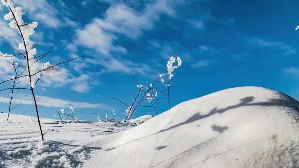 Jezioro Ślepieniec skąpane w zimowej bieli, luty 2021