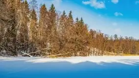 Jezioro Ślepieniec skąpane w zimowej bieli, luty 2021 - zdjęcie 21