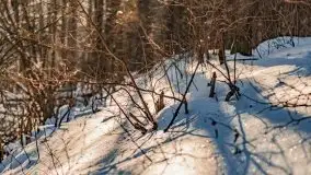 Jezioro Ślepieniec skąpane w zimowej bieli, luty 2021 - zdjęcie 54