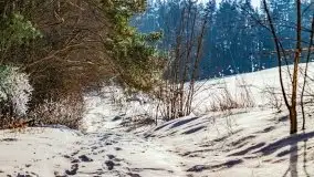 Jezioro Ślepieniec skąpane w zimowej bieli, luty 2021 - zdjęcie 31