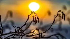 Zachód słońca nad jeziorem Niegocin, luty 2021 - zdjęcie 6