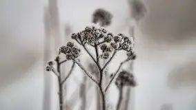 Poranne i zimowe mgły w okolicach Kruklanek - zdjęcie 2