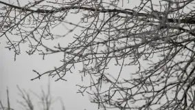 Poranne i zimowe mgły w okolicach Kruklanek - zdjęcie 14