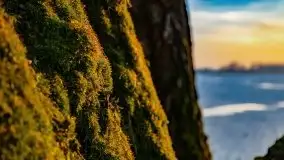 Zachód słońca nad jeziorem Kruklin, luty 2021 - zdjęcie 6