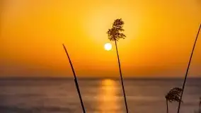 Zimowy zachód słońca nad jeziorem Śniardwy - zdjęcie 30