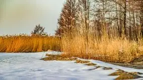 Zimowy zachód słońca nad jeziorem Śniardwy - zdjęcie 15