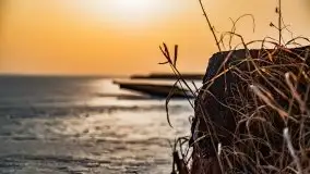 Zimowe Śniardwy i Okartowo, luty 2021 r. - zdjęcie 37