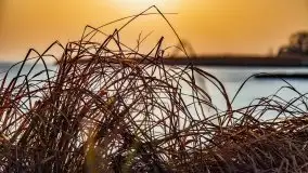 Zimowe Śniardwy i Okartowo, luty 2021 r. - zdjęcie 28