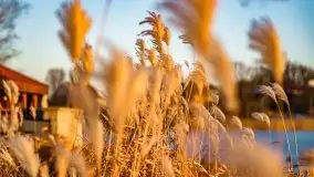 Zimowy wieczór i zachód słońca w Rynie, luty 2021 - zdjęcie 33